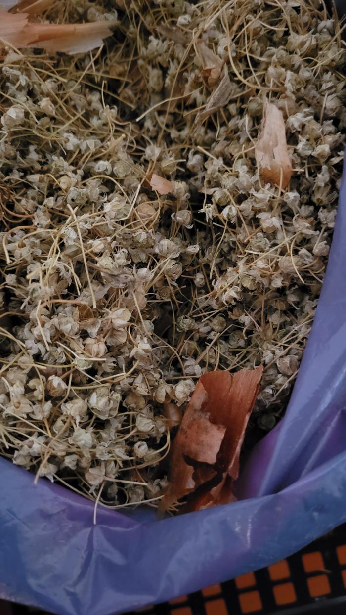 [Thumbnail for 20260121_095138.jpg]