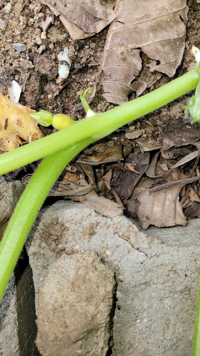 [Thumbnail for 20260212_094244.jpg]