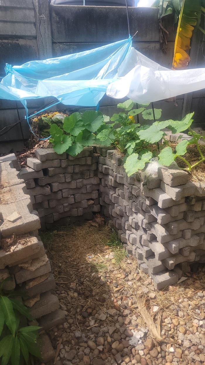 [Thumbnail for 20260212_094157.jpg]