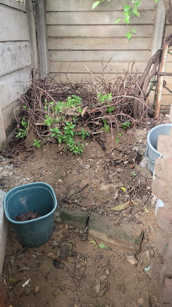 [Thumbnail for 20260310_161457.jpg]