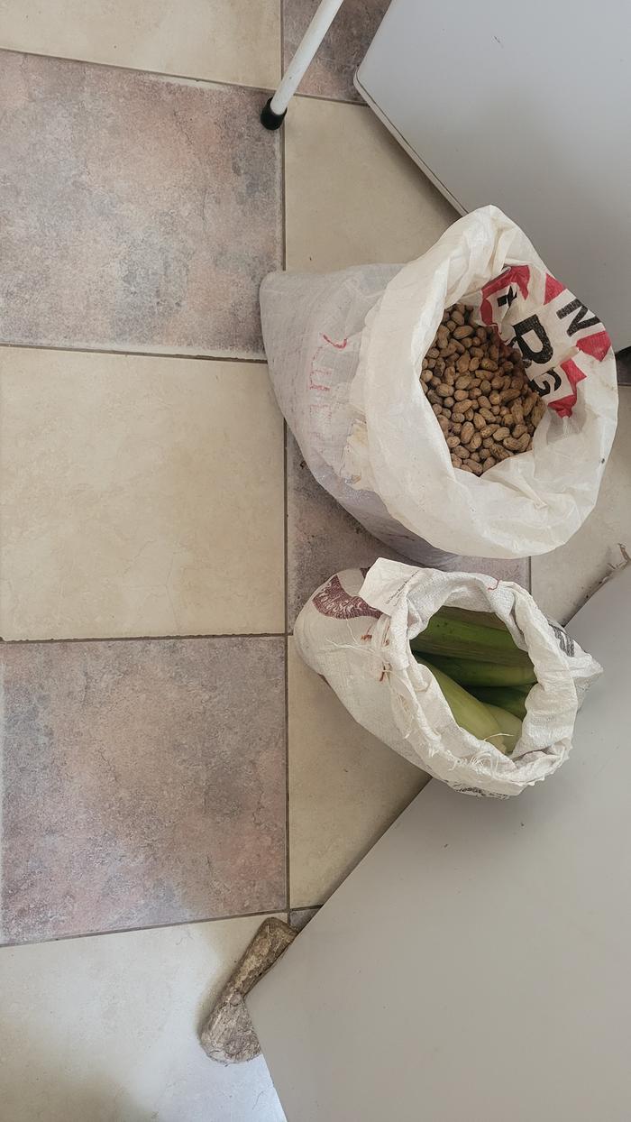 [Thumbnail for 20260322_101918.jpg]