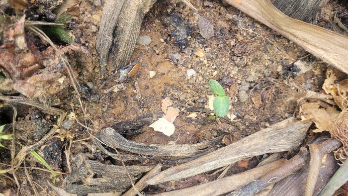 [Thumbnail for 20260324_090642.jpg]