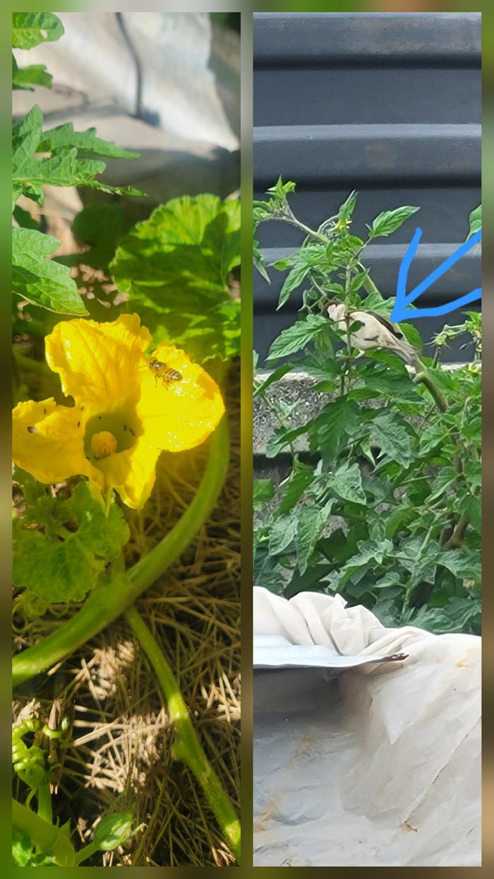 [Thumbnail for 20260326_111915.jpg]