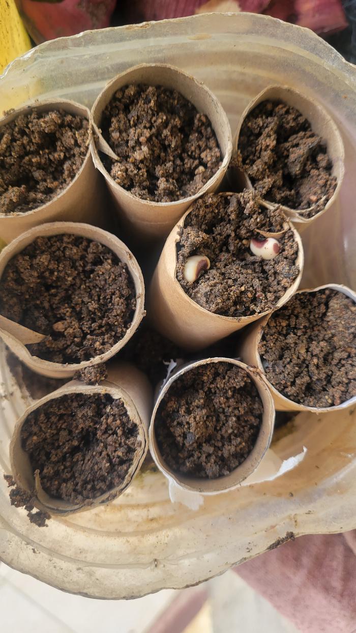 [Thumbnail for 20260324_092551.jpg]