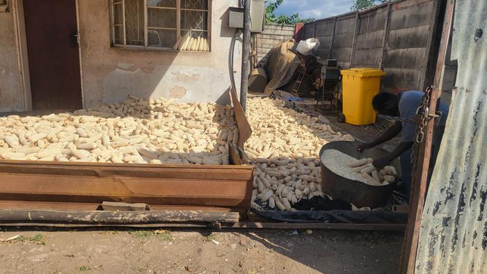 [Thumbnail for 20260407_145431.jpg]