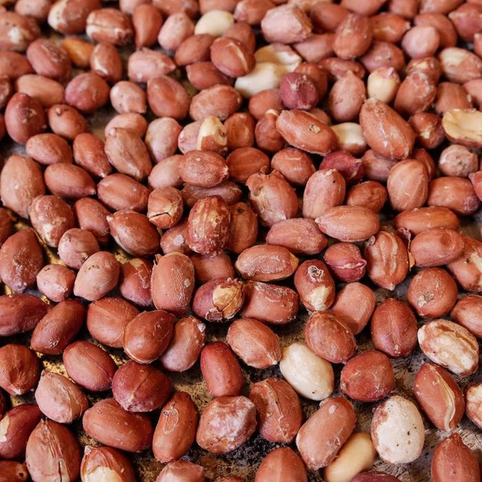 [Thumbnail for roasted-peanuts-jpg-1656535069.jpg]
