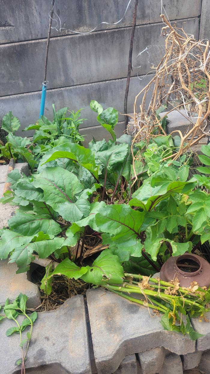 [Thumbnail for 20261008_091405.jpg]