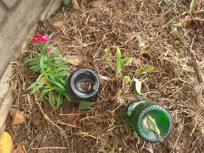 bottles filled with water