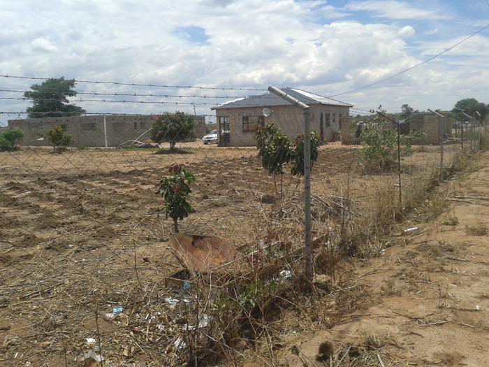 Neighbor's field