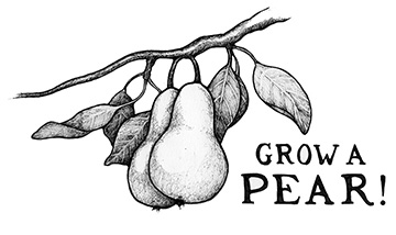 [Thumbnail for grow-a-pear-small-2.jpg]
