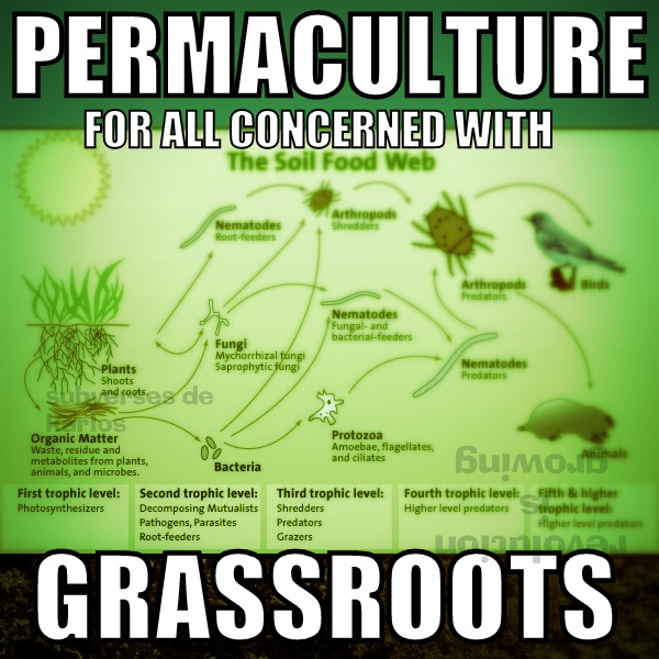 [Thumbnail for permaculture-grassroots.jpg]