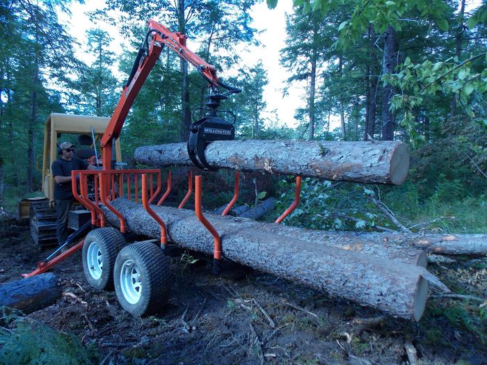 Wallenstein Trailer moving logs