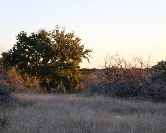 Rock meadow Looking Northwest