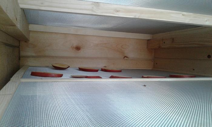 Apple slices of different thicknesses placed on lowest shelf (in back) of Solar Dehydrator cabinet.