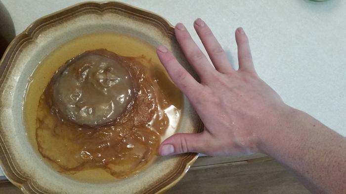 [Thumbnail for scoby.jpg]
