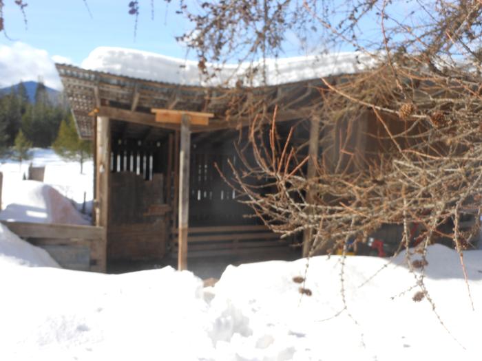 [Thumbnail for DSCN5051.JPG]