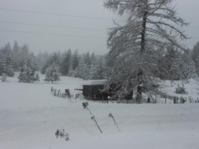 [Thumbnail for DSCN5037.JPG]