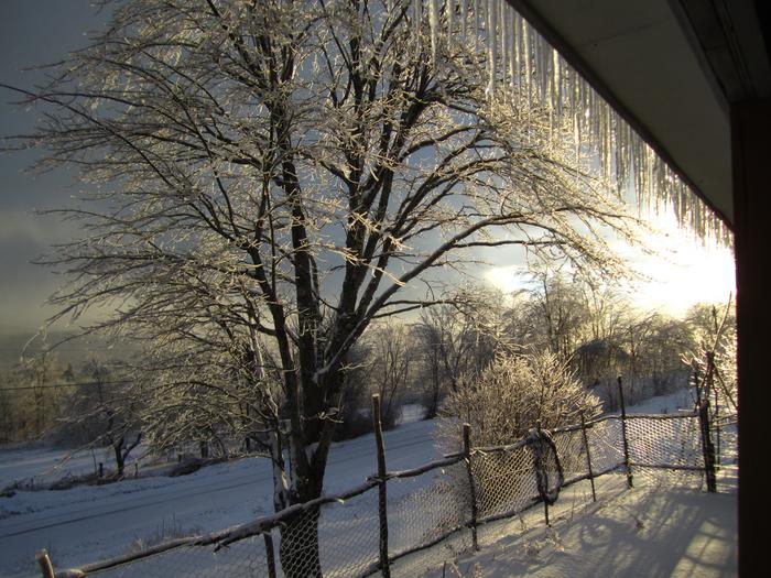 [Thumbnail for IMG_4427.JPG]