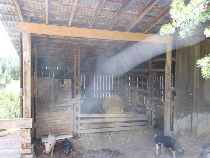 [Thumbnail for DSCN5206.JPG]