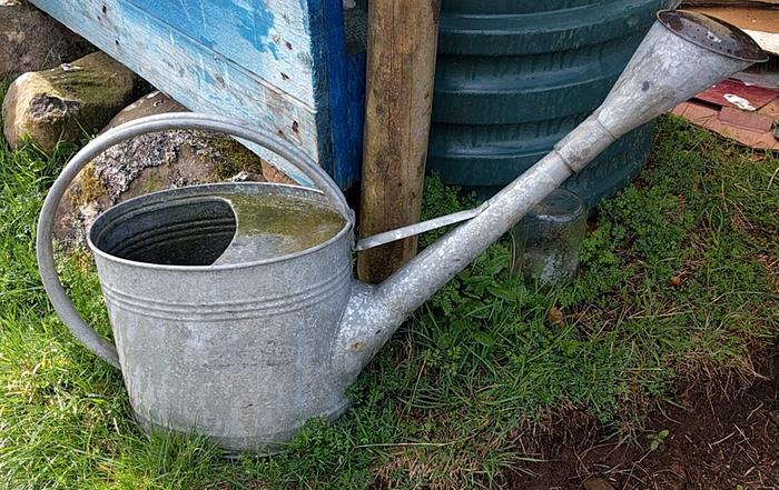 25 year old watering can