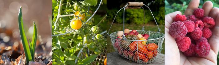 [Thumbnail for Spring-Workshops.png]