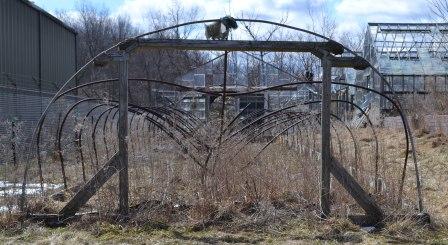 [Thumbnail for Snow-Damaged-Hoop-House.jpg]