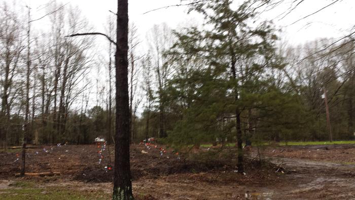 [Thumbnail for 20170307_171723.jpg]