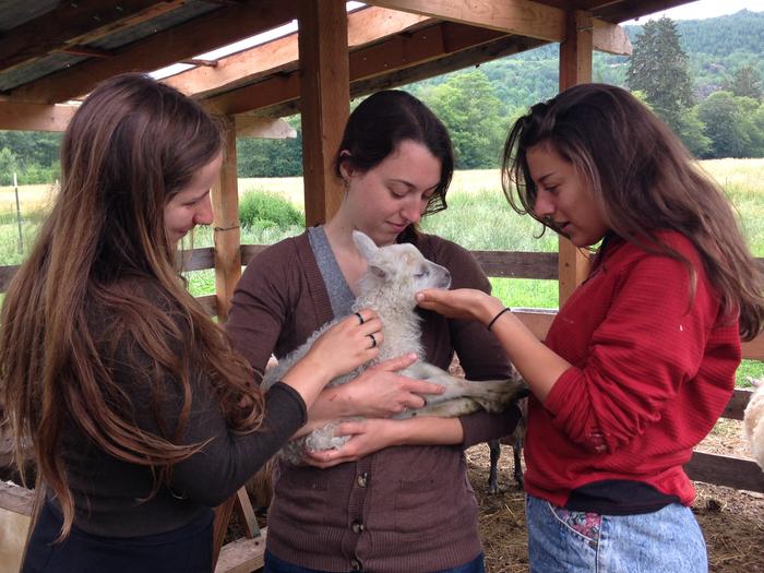 [Thumbnail for IMG_3337.JPG]