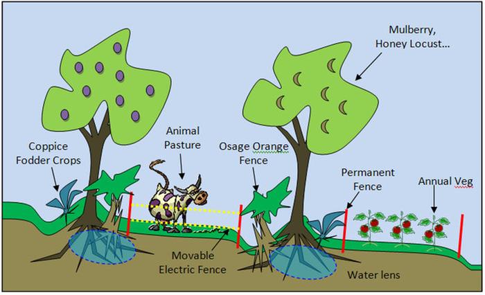 [Thumbnail for Animal_Paddocks_RealEyesHomestead.com.jpg]