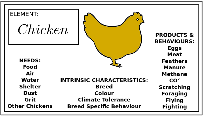 [Thumbnail for chicken_element_PermacultureNews.org.png]