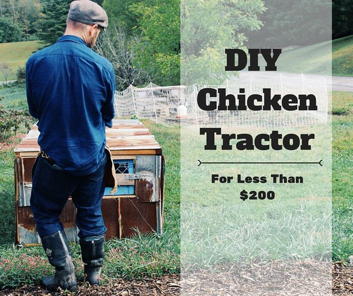 [Thumbnail for DIY-Chicken-Tractor_AbundantPermaculture.com.jpg]