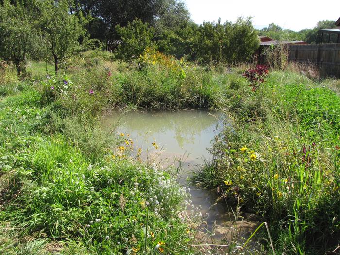 [Thumbnail for pond-and-pasture.jpg]