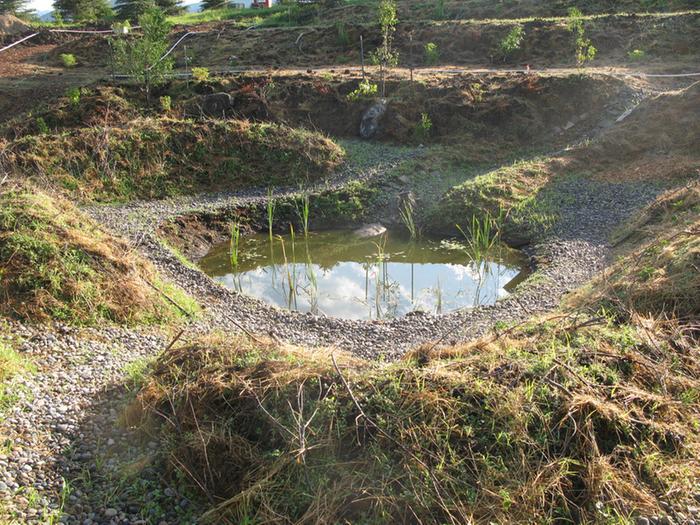 before photo of a Zach Weiss pond project