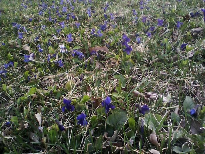 [Thumbnail for 0320171650-00.jpg]