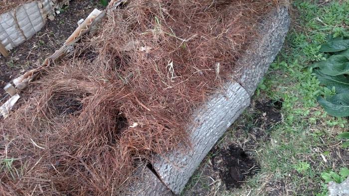 [Thumbnail for CritterDamage2.jpg]