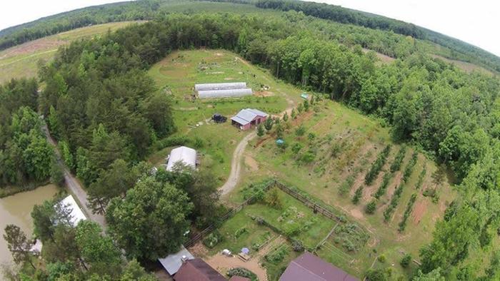 [Thumbnail for pdc-permies1.jpg]