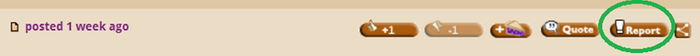 [Thumbnail for report-button.png]