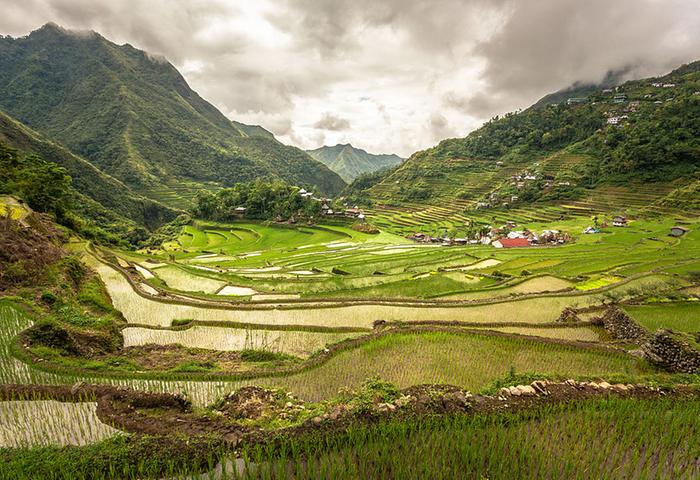 [Thumbnail for RICE-Inside_the_Batad_rice_terraces_1024px_by_Adi.simionov_WikiMedia.org.jpg]