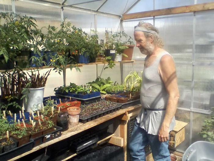 [Thumbnail for growing-plants-in-greehouse.jpg]