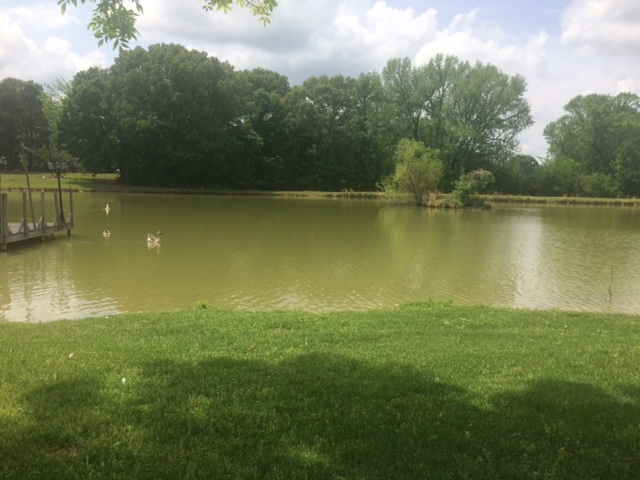 [Thumbnail for IMG_5405.JPG]