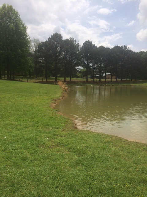 [Thumbnail for IMG_5402.JPG]