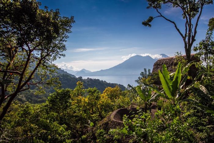 [Thumbnail for YogaForest-bradleythomas-3007.jpg]