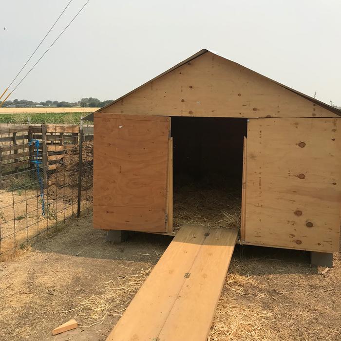 [Thumbnail for duck-house-ramp.jpg]
