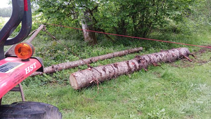 The 24" Douglas Fir log in it's resting place for now