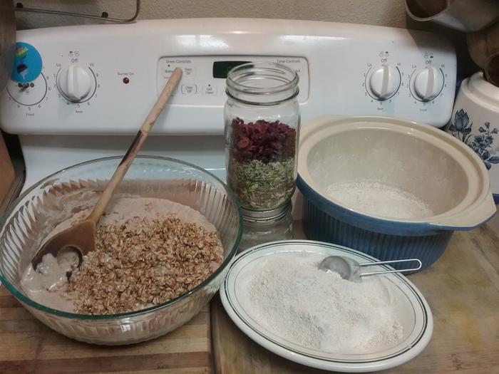 All lined up for the second day, mixing the starter, soaker, flour & seeds, with dried cranberries for fancy