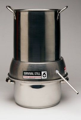 [Thumbnail for survival-still.jpg]