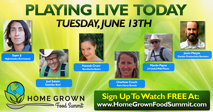 [Thumbnail for 2_Tuesday-sm.jpg]