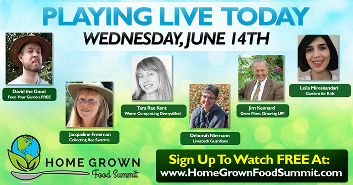 [Thumbnail for 3_Wednesday-sm.jpg]