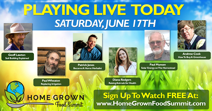 [Thumbnail for 6_Saturday-sm.jpg]