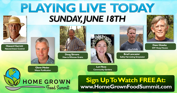 [Thumbnail for 7_Sunday-sm.jpg]